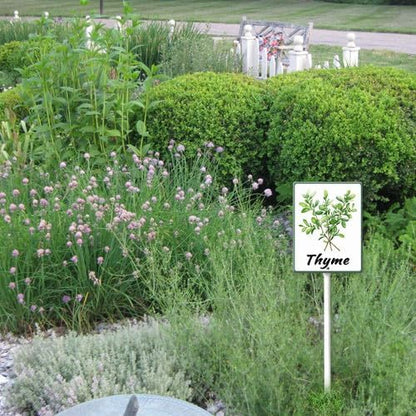 FemiaD Plant Label Signs Planted Herb Garden Markers Waterproof Aluminum Plant Stake Tags Thyme Sign for Nursery Indoor Outdoor Garden Decoration 8x12inch