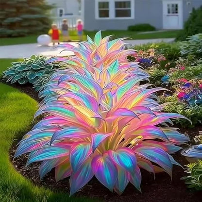 105+ Hosta Seeds Rainbow Mix for Planting,Rare Hosta Seeds Mixed Colors,Dual Use for Ground Cover & Pots, Create Cool Shaded Garden Outdoor