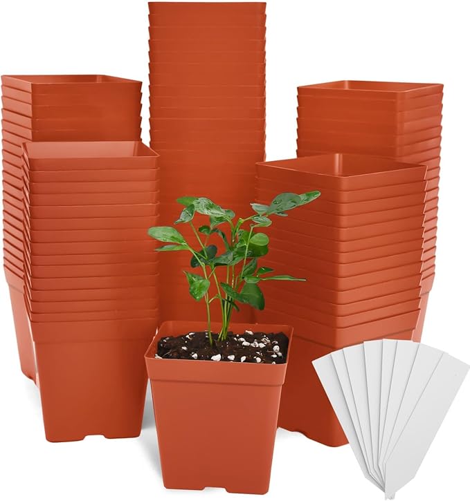 June Fox 100 Pack Red Square Nursery Pots with Drainage Holes 3.3 Inches Flexible Plastic Seedling Pots Square Pots for Plants, Succulent, Flower, with Plant Labels