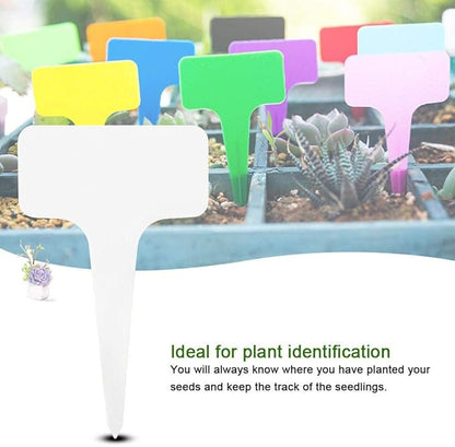 Plastic Plant Tags 50 PCS PVC T-Type Tag Markers Nursery Garden Pot Markers Tree Stake Tags Labels Gardening Tool Kit 610cm(White)