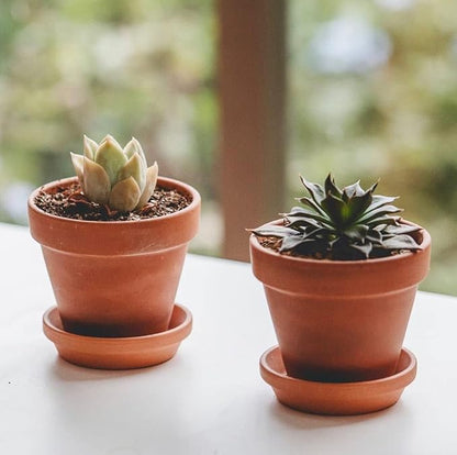 3 Inch Terracotta Starter Pots with Saucers – Clay Planting System for Seedlings, Cuttings & Succulents, Reliable Drainage for Healthy Roots, Ideal for Beginners & Small Spaces