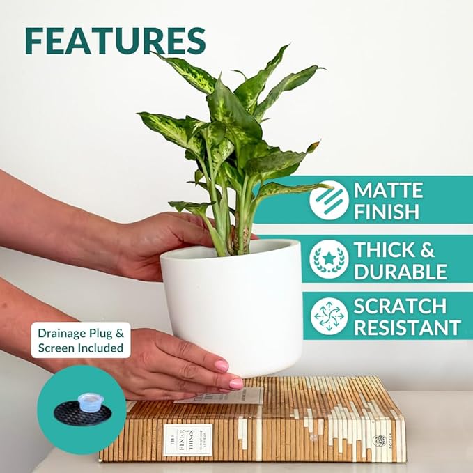 Willowy 6 Inch Ceramic Plant Pot (Matte White) - 6 Inch White Ceramic Planter, Pots for Plants, Planters for Indoor Plants, Plant Pot with Drainage