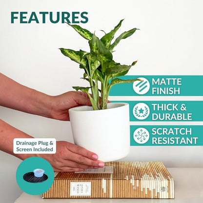 Willowy 6 Inch Ceramic Plant Pot (Matte White) - 6 Inch White Ceramic Planter, Pots for Plants, Planters for Indoor Plants, Plant Pot with Drainage