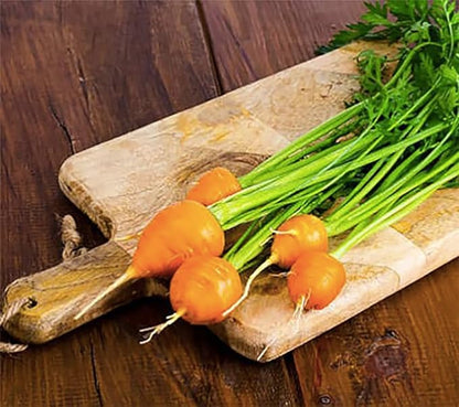 Round Baby Parisian Carrots Seeds A Delicacy Prised by Gourmet Restaurants Delicious Carrot Vegetable Seeds - 1000 Seeds