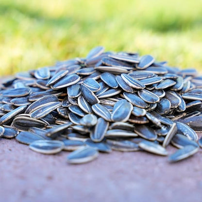 Desert Valley Striped Sunflower Seed, All Natural, Non-GMO Premium Wild Bird and Wildlife Food for Cardinals, Jays, Grosbeaks, Squirrels and More (3 Pounds)