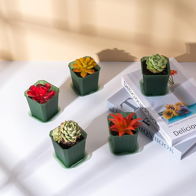foxany 3 Inch Transparent Green Nursery Pots, 30 Pcs Thick Plastic Plant Pot, Square Flower Planting Pots Variety Pack, Seedling Planter Starter Pots with Saucers for Garden