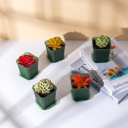 foxany 3 Inch Transparent Green Nursery Pots, 30 Pcs Thick Plastic Plant Pot, Square Flower Planting Pots Variety Pack, Seedling Planter Starter Pots with Saucers for Garden
