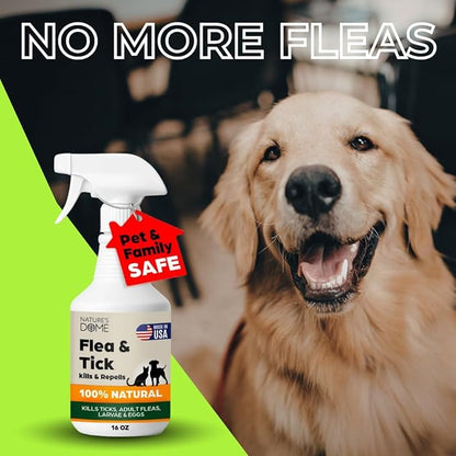 Nature’s Dome Outdoor Flea & Tick Spray – 16 oz – Kills & Repels Fleas, Ticks, Larvae & Eggs – Plant-Based Pest Control – Safe for Pets, Kids & Plants – Ready-to-Use