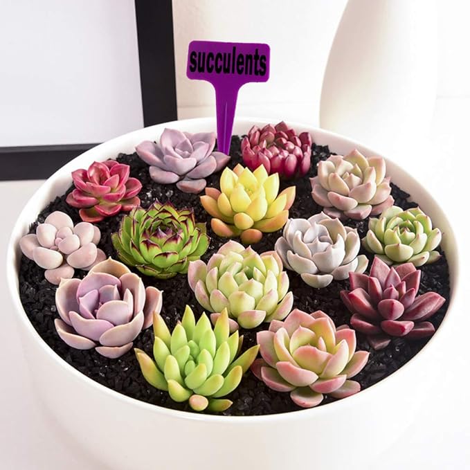 Ameolale 200PCS Plastic Nursery Garden Plant Labels - Waterproof Potted Plant Tags Reusable Seeds Markers T-Type Stakes - Eco Friendly for Vegetables Herb Flower Greenhouse(Purple)
