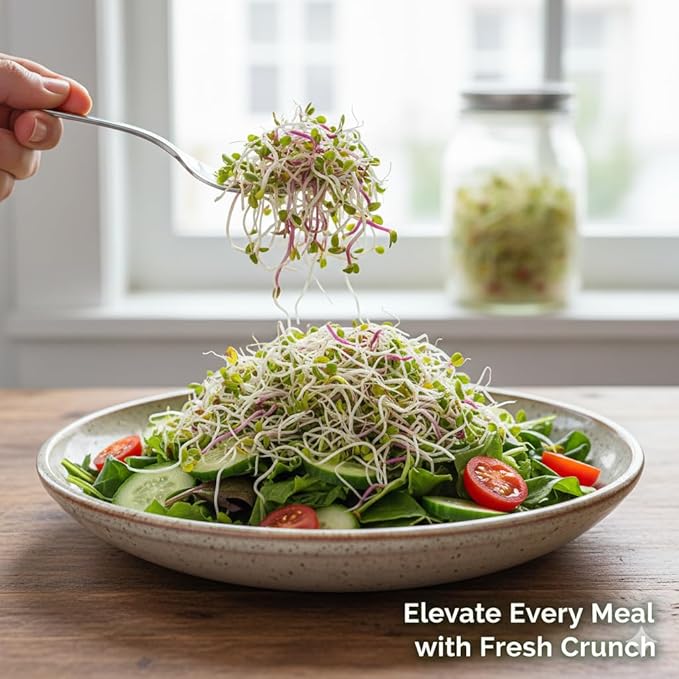 Todd's Seeds Broccoli and Friends Sprouting Seed Mix: Broccoli, Crimson Clover, Red Radish, Alfalfa, Non-GMO, Chemical Free, High Germination (1/2 Pound)