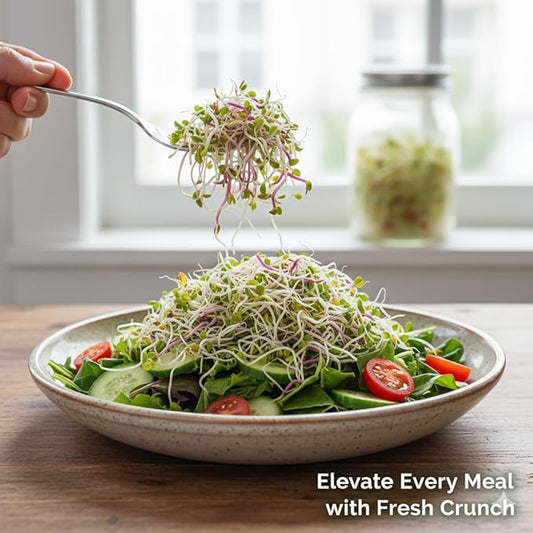 Todd's Seeds Broccoli and Friends Sprouting Seed Mix: Broccoli, Crimson Clover, Red Radish, Alfalfa, Non-GMO, Chemical Free, High Germination (1/4 Pound)