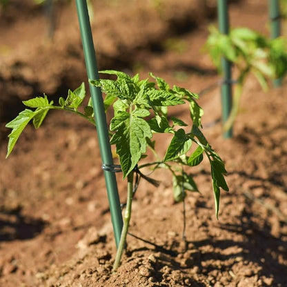 Garden Stakes 5/16" Dia, 5 FT FRP Plant Supporting Stakes for Climbing Tomato Cucumber Strawberry Bean Tree, Pack of 20, Dark Green