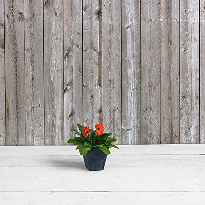 ArtStone 35068 Ella Square Planter, Black, 6-Inch, 6"