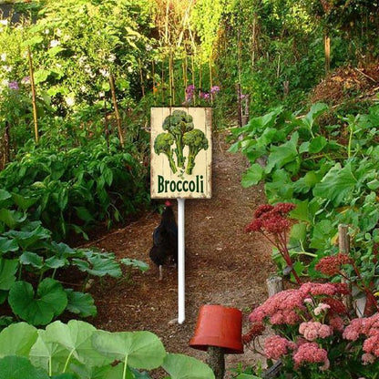 Uptell Vintage Vegetable Signs for Garden with Stake Broccoli Yard Sign Vegetable Garden Label Stakes Plant Markers for Outdoor Plants Waterproof 8x12inch