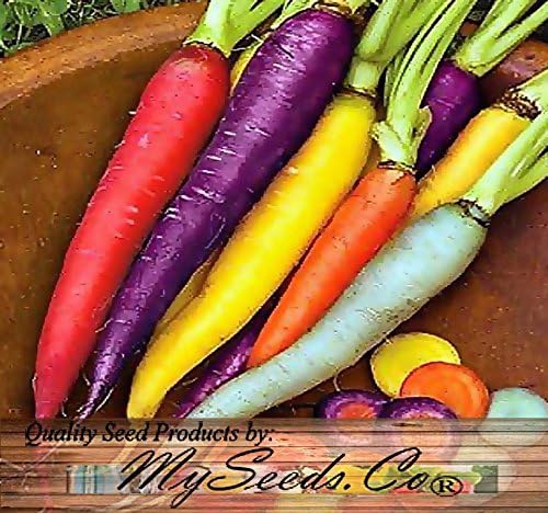 Big Pack - (3,500+) Rainbow Mix Carrot Seeds - Atomic Red, Bambino Orange, Cosmic Purple, Lunar White and Solar Yellow Seeds (Big Pack - Carrot Rainbow Mix)