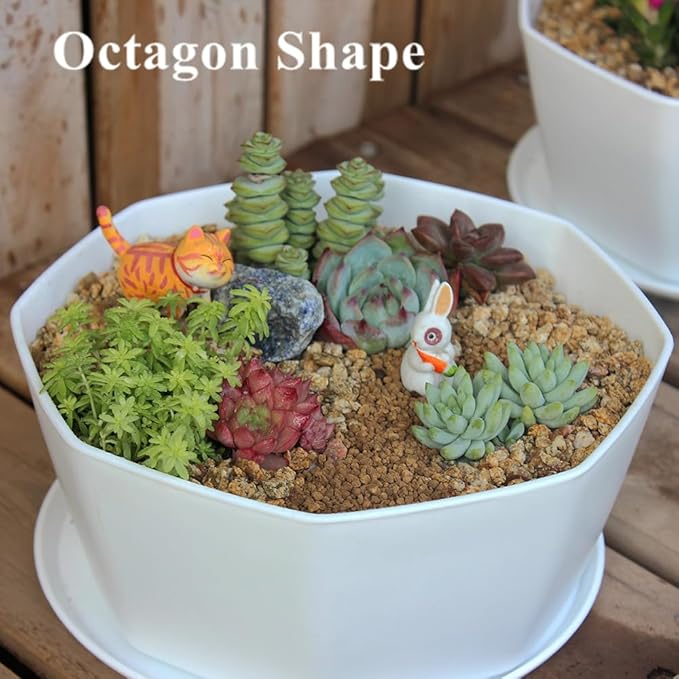 BangQiao 8 Pack 8.00 inch and 5.90 inch White Plastic Shallow Plant Pot, Octagon Bowl Planter Container with Pot Tray for Succulents, Cactus