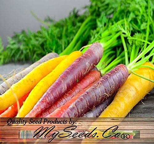 Big Pack - (3,500+) Rainbow Mix Carrot Seeds - Atomic Red, Bambino Orange, Cosmic Purple, Lunar White and Solar Yellow Seeds (Big Pack - Carrot Rainbow Mix)
