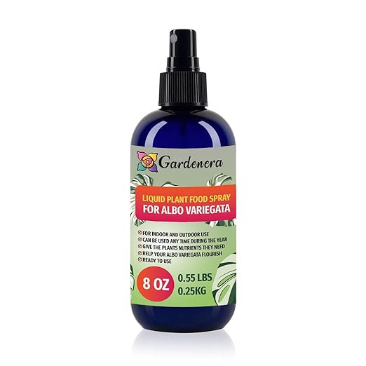 Gardenera Professional ALBA VARIEGATA Superfood Spray Mist for Home Gardening | Micro-Fungi Enriched Fertilizer Mist for Healthy Leaves & Growth | 18 Vitamins & Minerals for ALBA VARIEGATA - 8oz