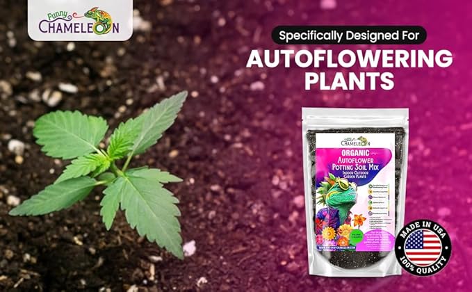 Organic Autoflower Potting Soil Mix – Ready-to-Use Living Soil, No Fertilizers Needed – Balanced Nutrients, Light Texture, Excellent Drainage, Boosts Germination & Root Growth (5 quarts)