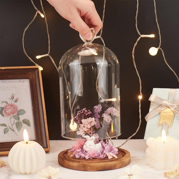 NBEADS Heart Glass Dome, 8.66 Inch Long Cloche Bell Jar Terrarium with Wood Base Decorative Display Dome Case for Plants Flower Aroma Candle Desktop Decoration, Clear