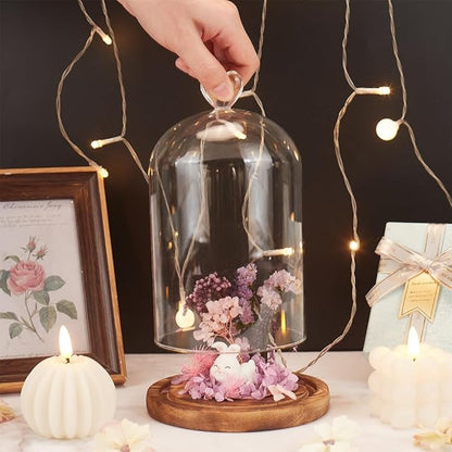 NBEADS Heart Glass Dome, 8.66 Inch Long Cloche Bell Jar Terrarium with Wood Base Decorative Display Dome Case for Plants Flower Aroma Candle Desktop Decoration, Clear