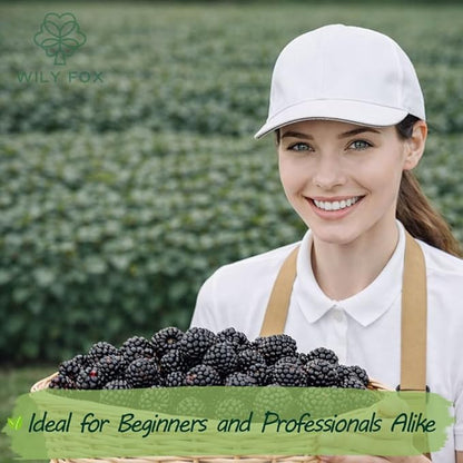Premium BlackBerry Seeds for Planting - 250+ Heirloom, Non GMO Black Berry Seeds (Rubus) for Home Garden, Indoor/Outdoor Growing