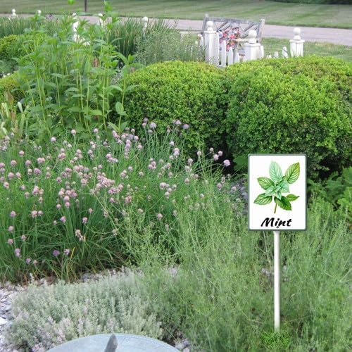FemiaD Plant Label Signs Planted Herb Garden Markers Waterproof Aluminum Plant Stake Tags Mint Sign for Nursery Indoor Outdoor Garden Decoration 7x8.8inch