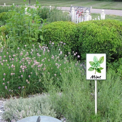 FemiaD Plant Label Signs Planted Herb Garden Markers Waterproof Aluminum Plant Stake Tags Mint Sign for Nursery Indoor Outdoor Garden Decoration 4.6x6inch
