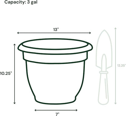 Bloem Ariana Self Watering Planter: 12" - Chocolate - Durable Resin Pot, for Indoor and Outdoor Use, Self Watering Disk Included, Gardening, 3 Gallon Capacity