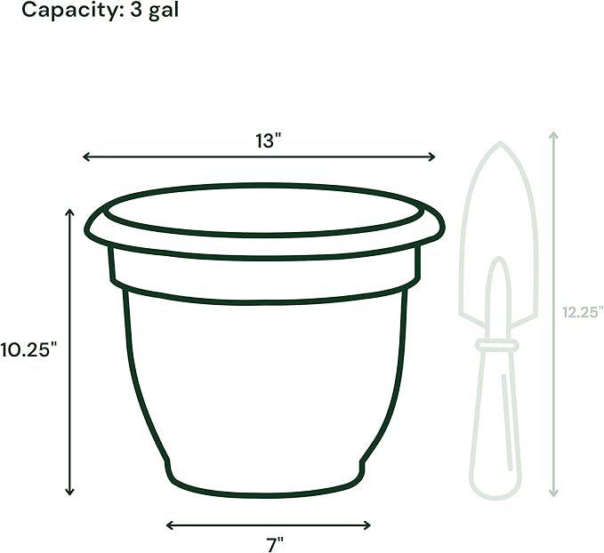 Bloem Ariana Pot Planter: 12" - Living Green - Durable Resin Pot, For Indoor and Outdoor Use, Gardening, Self Watering Disk Included, 3 Gallon Capacity