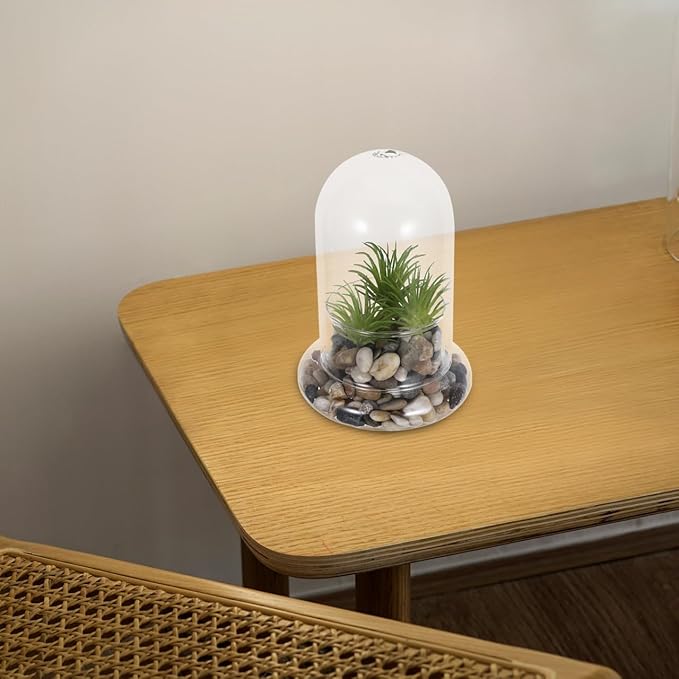 Hemoton Micro Landscape Ecological Bottle Terrarium Jar with 8Mm Hole Glass Plant Dome for Home Office Decoration and DIY Miniature Garden