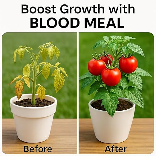 𝐁𝐄𝐒𝐓𝐒𝐄𝐋𝐋𝐄𝐑 Organic Blood Meal Fertilizer by Gardenera - 12-0-0 NPK - All-Natural Plant Food Source of Nitrogen for Organic Gardening, Flowers, Vegetables, Trees & Shrubs [12 OZ]