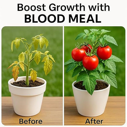 𝐁𝐄𝐒𝐓𝐒𝐄𝐋𝐋𝐄𝐑 Organic Blood Meal Fertilizer by Gardenera - 12-0-0 NPK - All-Natural Plant Food Source of Nitrogen for Organic Gardening, Flowers, Vegetables, Trees & Shrubs - 2 QUARTS