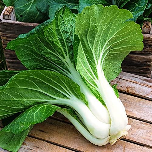 Seeds Chinese Cabbage Bok Choy - Heirloom Vegetable - GMO Free