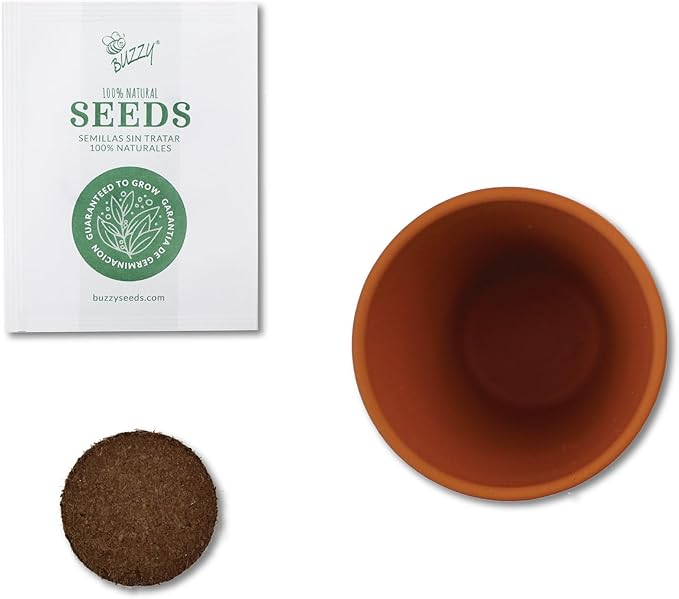 BUZZY Seeds Terracotta Mini Grow Pots Flower Plant Starter Kit – Love Collection Assorted 12-Pack – Indoor DIY Garden Kit – Perfect Wedding Favors, Bridal Shower Gardening Gifts, Valentines