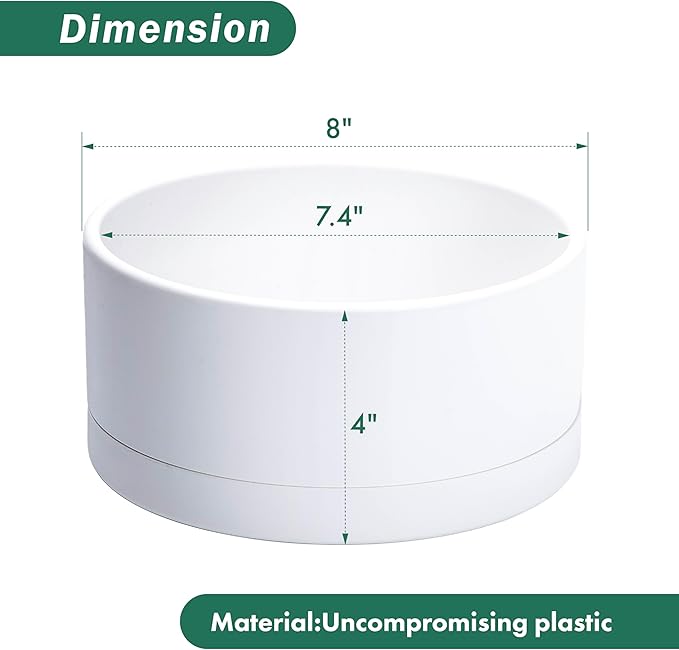 D'vine Dev 8 Inch Plastic Shallow Planter, Large Round Succulent Plant Pot with Drainage Hole and Sauce, Decorative Bonsai Pot for Indoor Plants, White, 76-Z-A-1