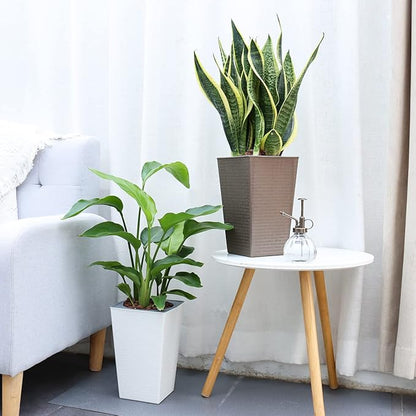2 Pack Self Watering Planters 10.7" x 6.9" Planter for Indoor Plants Self Watering Violet Pots Plastic Flower Pots Square Planter with a Bag of Clay Pebbles, Bronze