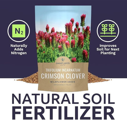 Crimson Clover Seeds for Planting – Bulk 1 Pound Bag – Over 80,000 Open Pollinated Non-GMO Seeds – Trifolium incarnatum