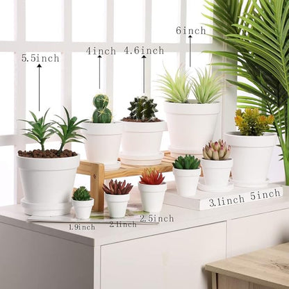 Yishang White Terra Cotta Pots with Saucer- 12-Pack Large Terracotta Pot Clay Pots 3'' Clay Ceramic Pottery Planter Cactus Flower Pots Succulent Pot with Drainage Hole
