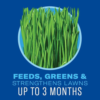 BioAdvanced 5 In 1 Weed and Feed, Granules, 24LB