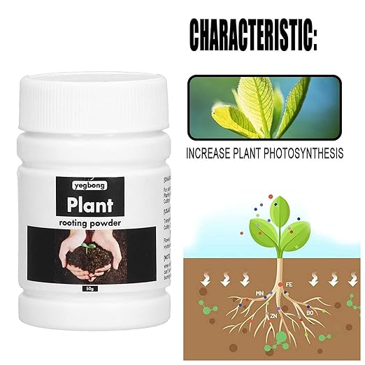 Alvinlite Rooting Powder Hormone Root Fertilizer Seedling Help New Roots on Cuttings and Promotes Strong Healthy Roots for Moderately Difficult to Root Plants Promote Growth 150g