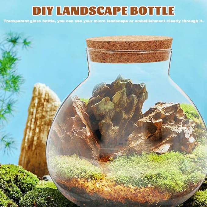 2pcs Round Glass Jar Terrarium Container Ball Succulent Plant Terrarium Buds Vases Easter Candy Jar Message Wishes Bottle with Cork Lid for Plant 15cmx16