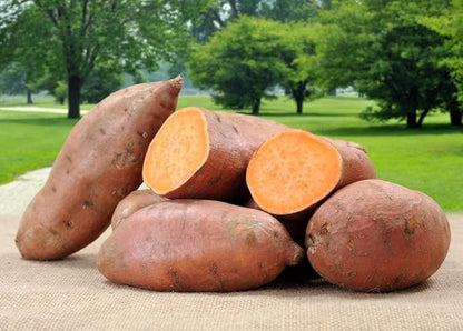 Generic 50pcs Sweet Potato Vegetable Seeds Yellow