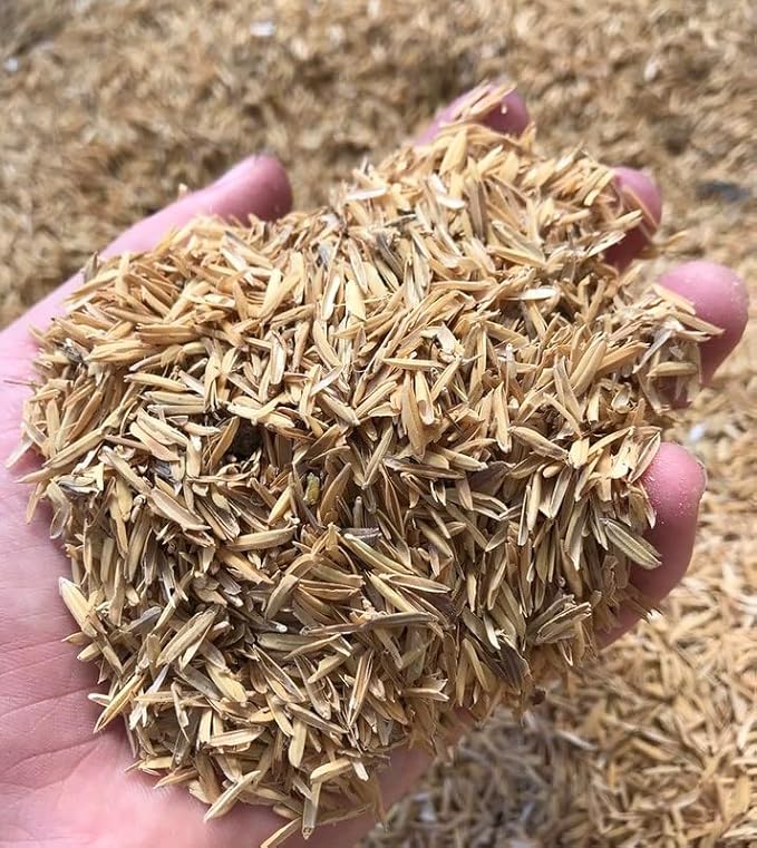 Gardenera Organic Rice Hulls - Sustainable Gardening Solution for Healthy Roots, Disease Prevention, and Weed Management - 5 QUARTS