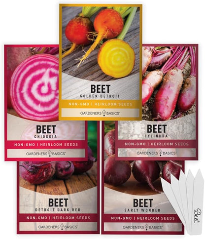 Gardeners Basics, Beet Seeds for Planting Home Garden - 5 Variety Pack Detroit Dark Red, Golden Detroit, Early Wonder, Cylindria and Chioggia Great for Spring, Summer, Fall, Heirloom Veggie Seeds