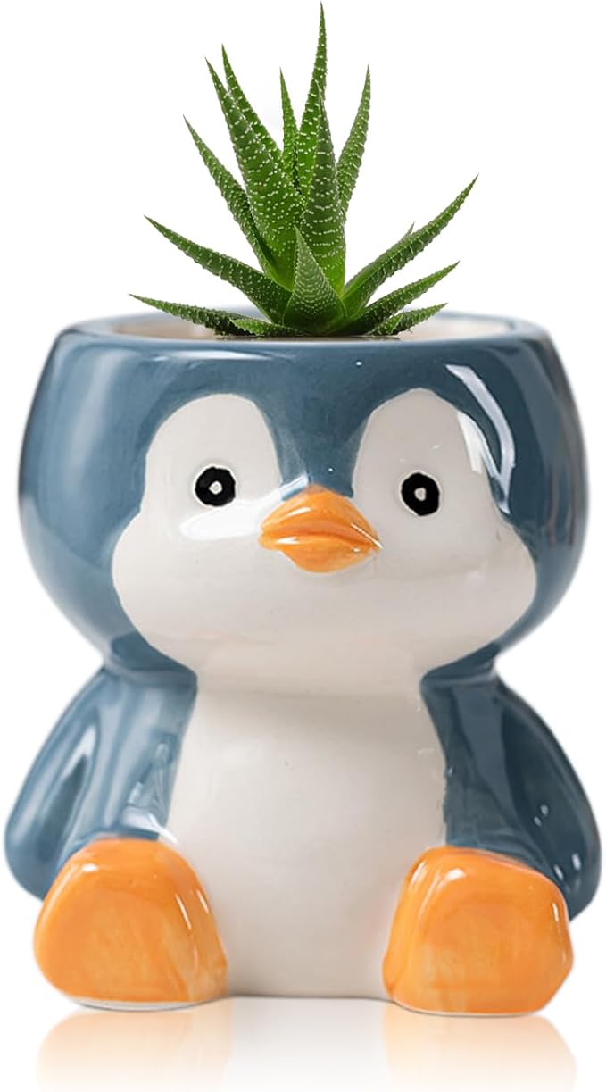 DIYOMR Cute Animals Planter, Mini Ceramic Cartoon Animal Shaped Succulent Flower Pot Indoor Air Plants Holder, Smooth Shiny Decorative Flower Cactus Planter - Plants Not Included (Penguin)