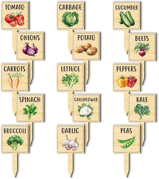 arricraft 15 Pcs Watercolor Vegetable Plant Labels, Wooden Markers T Type Tags Garden Labels with Printed Pattern Wood Garden Stakes for Indoor and Outdoor Potted Vegetable Seed