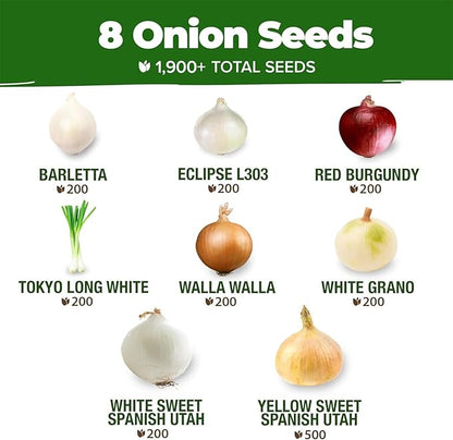 HOME GROWN 8 Onion Seeds for Planting 1,600 Heirloom Vegetable Seeds Grow Sweet, Yellow, Red, Spanish, Green & Vidalia Onions in Outdoor or Indoor Home Garden