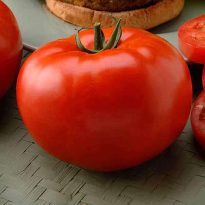 Seeds Red Giant Beefsteak Tomato Indeterminate Non GMO Vegetable for Planting