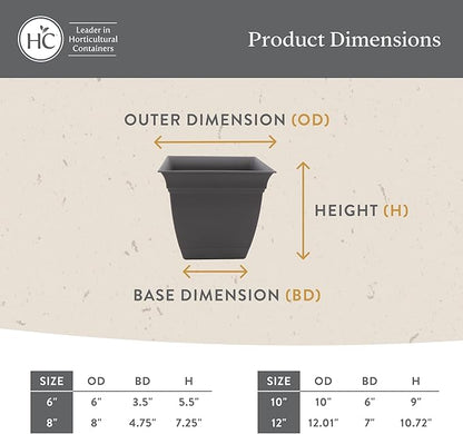 The HC Companies 6 Inch Eclipse Square Planter Pots with Drainage Holes & Attached Saucer, Lightweight UV-Resistant Plastic Indoor Outdoor Planters, 4-Pack Flower Pots for Garden & Home Decor, Rose